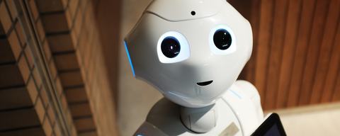 AgriBot Ltd