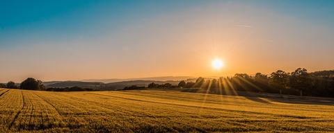 BioYield Ltd